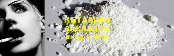 стаф Алзамай