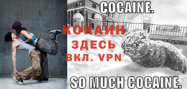 дживик Абаза