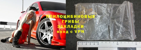 дживик Абаза