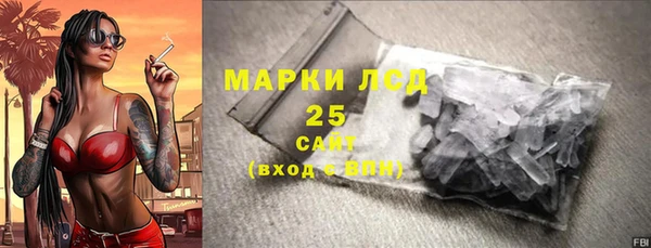 стаф Алзамай