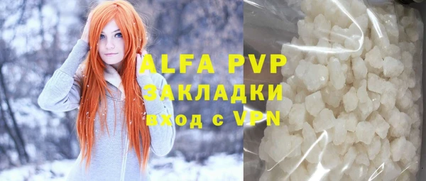 стаф Алзамай