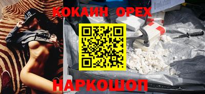 сатива Кингисепп