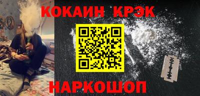 сатива Кингисепп