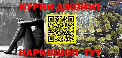 сатива Кингисепп
