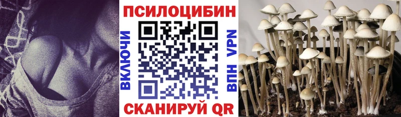 Псилоцибиновые грибы Psilocybine cubensis Ковров