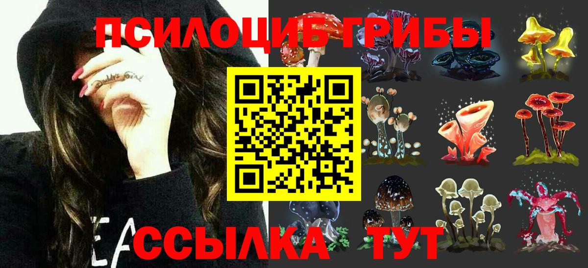 Псилоцибиновые грибы Cubensis Ковров