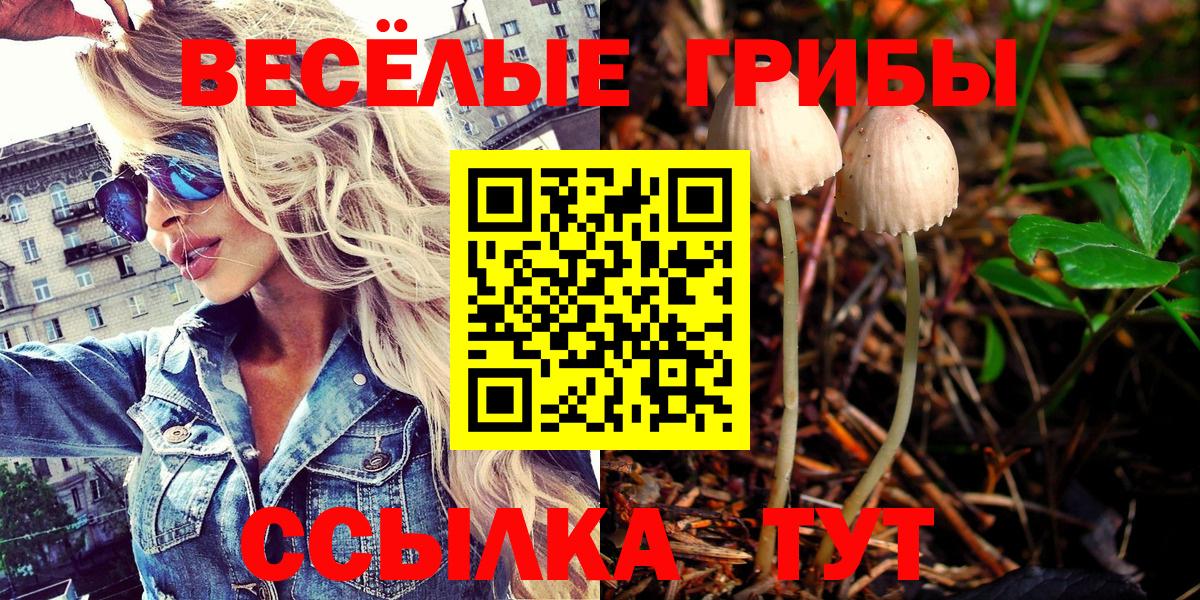 Псилоцибиновые грибы Magic Shrooms  Вход с VPN  Ковров  Галлюциногенные грибы MAGIC MUSHROOMS 